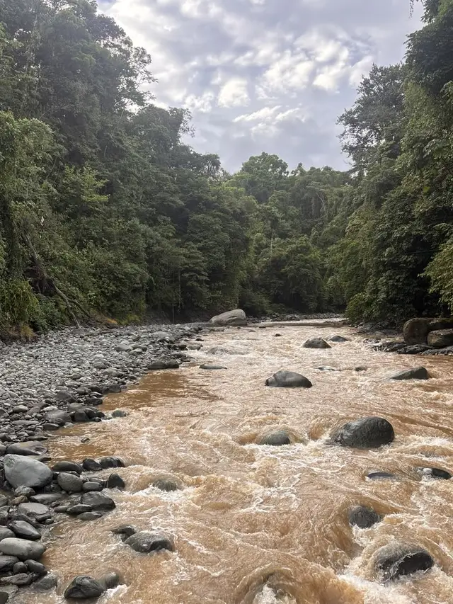 Río de aguas claras corriendo entre piedras